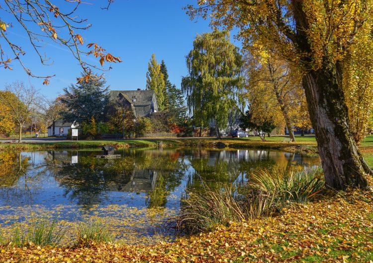 Why autumn is a great time to get your FREE roof health check