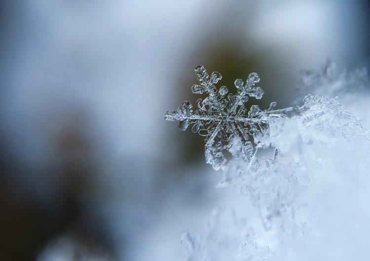 Autumn maintenance: Top tips for protecting your home this winter