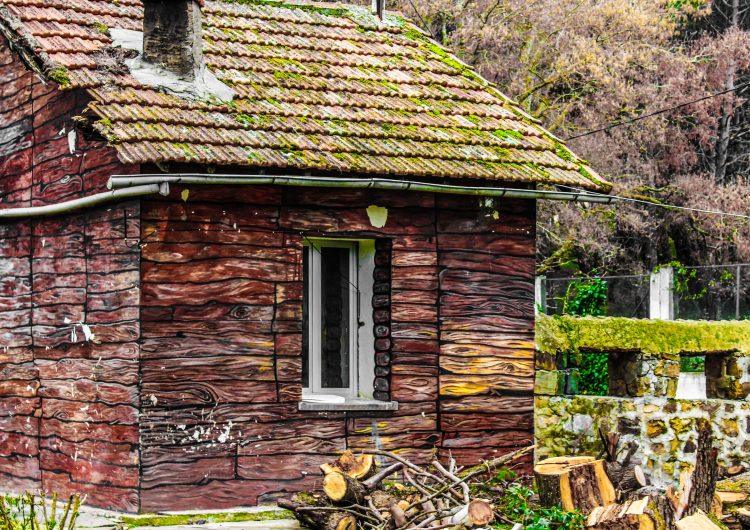 5 ways that moss impacts your roof, and what to look out for